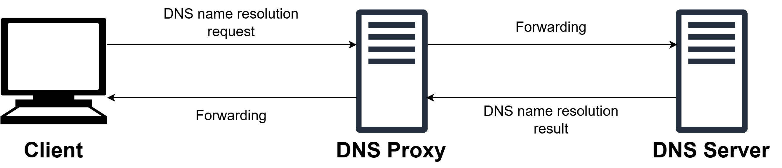 DNS Proxyの概要